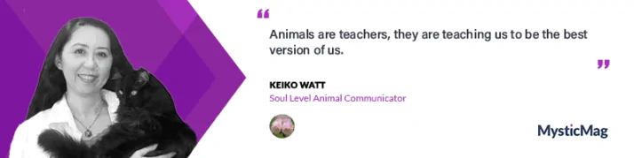 What Is Your Pet Thinking?  An Interview with Keiko Watt, Soul Level Animal Communicator® &amp; Intuitive