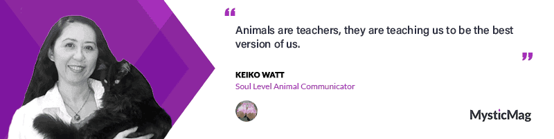 What Is Your Pet Thinking? An Interview with Keiko Watt, Soul Level Animal Communicator® & Intuitive
