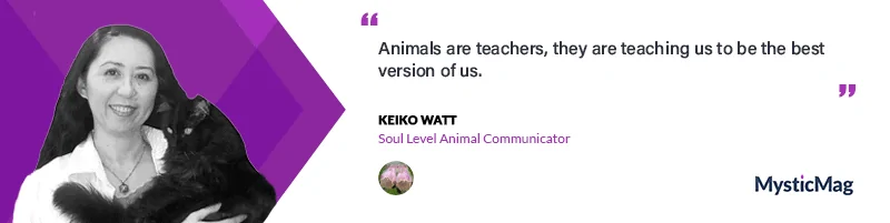 What Is Your Pet Thinking?  An Interview with Keiko Watt, Soul Level Animal Communicator® &amp; Intuitive