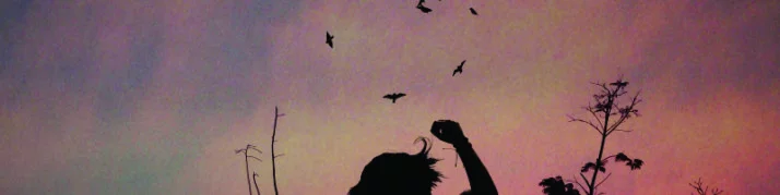A Guide to the Spiritual & Symbolic Meaning of Birds (2025)