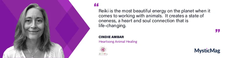 Healing Our Healers with Heartsong Animal Healing