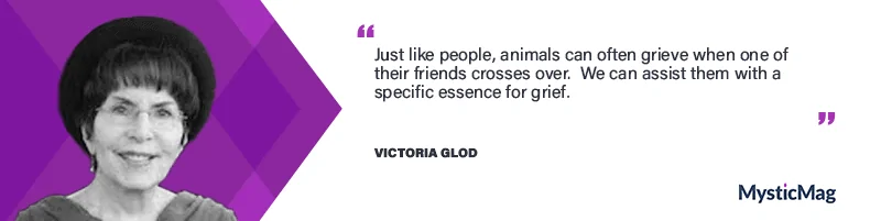 Animal communication and Spiritual Response Therapy with Victoria Glod