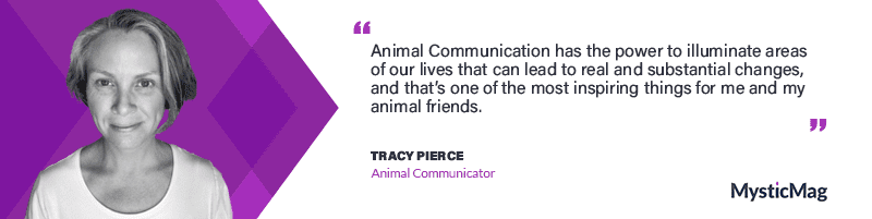 Deepening the Connection with your Animal Friends - An Interview with Tracy Pierce