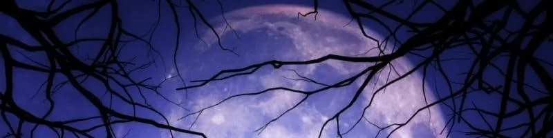 Effective Full Moon Rituals for Manifesting