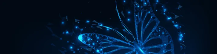 The Spiritual Meanings & Symbolism of Butterflies in 2025