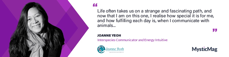 “Dogs do speak, but only to those who know how to listen.”– (Orhan Pamuk): Joanne Yeoh