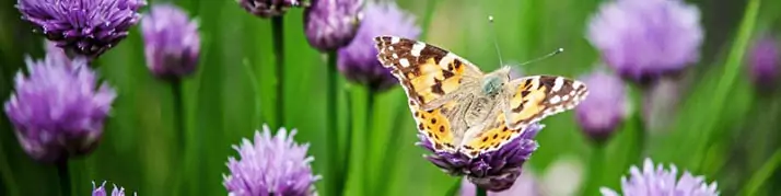 10 Signs a Deceased Loved One is Nearby (Updated List 2023)