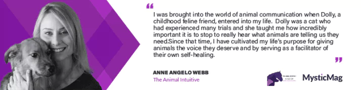 Faith and Animal Communication - Anne Angelo Webb