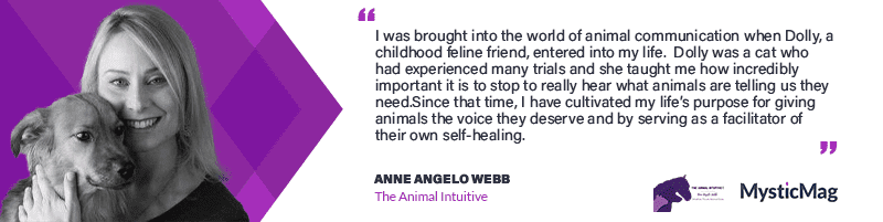 Faith and Animal Communication - Anne Angelo Webb