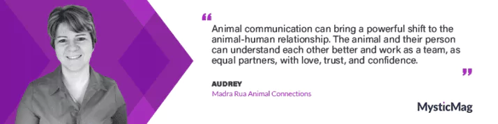 Tune In To Your Animal's Energy - With Audrey from Madra Rua Animal Connections