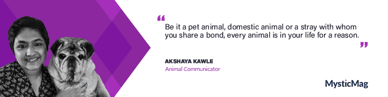The True Voice of our Animals - Akshaya Kawle