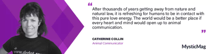 Open Up Your Heart And Mind To Animal Communication - With Catherine Collin