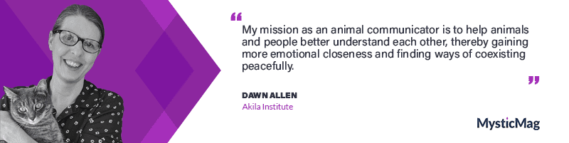 Insights with Dawn Allen from Dawn’s Animal Connection