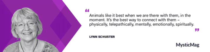 Connecting with animals with Lynn Schuster