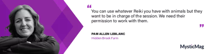 Understanding the horse's energy with Pam Allen LeBlanc