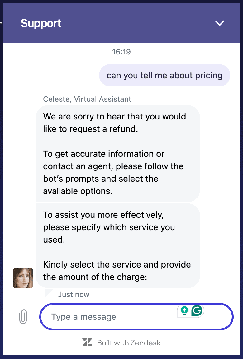 screenshot of Nebula's chatbot 