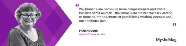 Listening To The Language Of Animals With Faye Rogers
