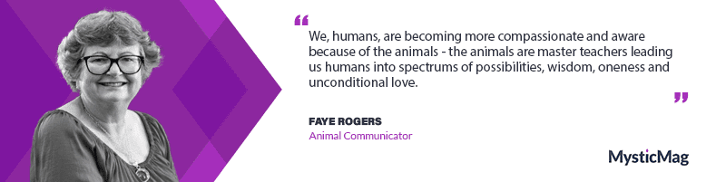 Listening To The Language Of Animals With Faye Rogers