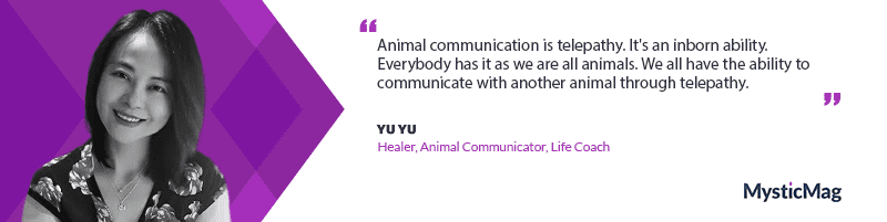 From the Corporate World to Animal Communication with Yu Yu