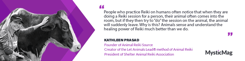 Kathleen Prasad - Pioneering Animal Reiki Advocate