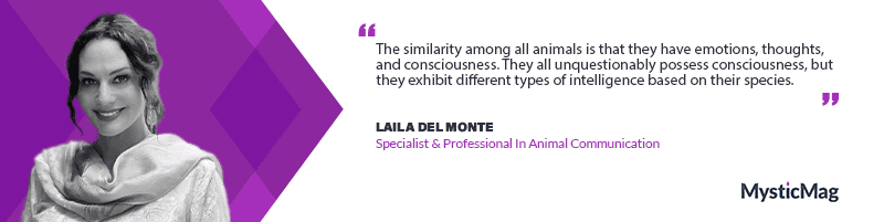 Whispers of the Wild - A Conversation with Laila del Monte, Pioneer in Animal Communication