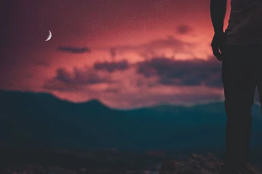 Rise Like a Phoenix: New Moon in Scorpio, November 13