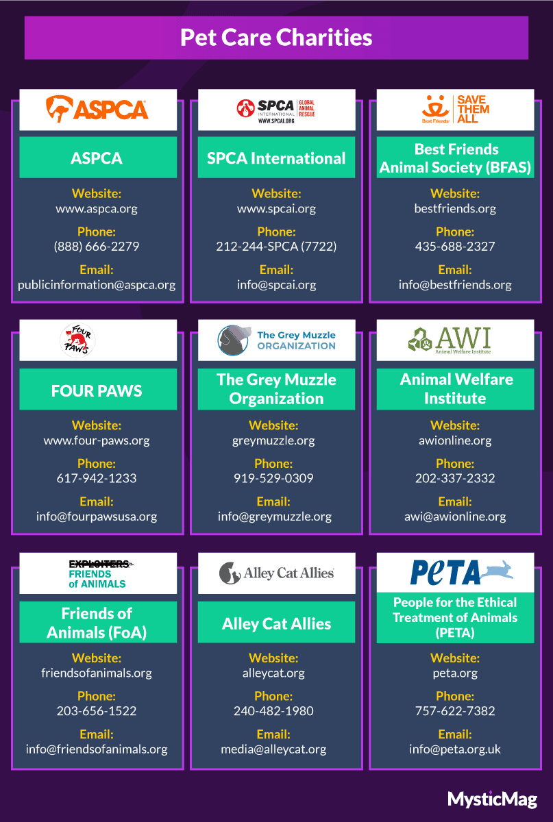 Charities and Organizations Promoting Better Pet Care