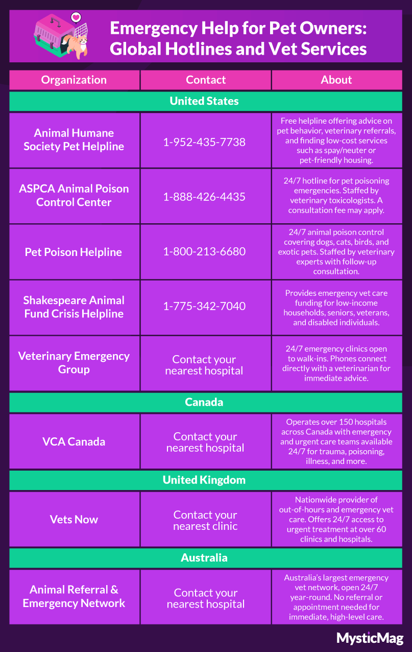 Crisis Hotlines and Emergency Support